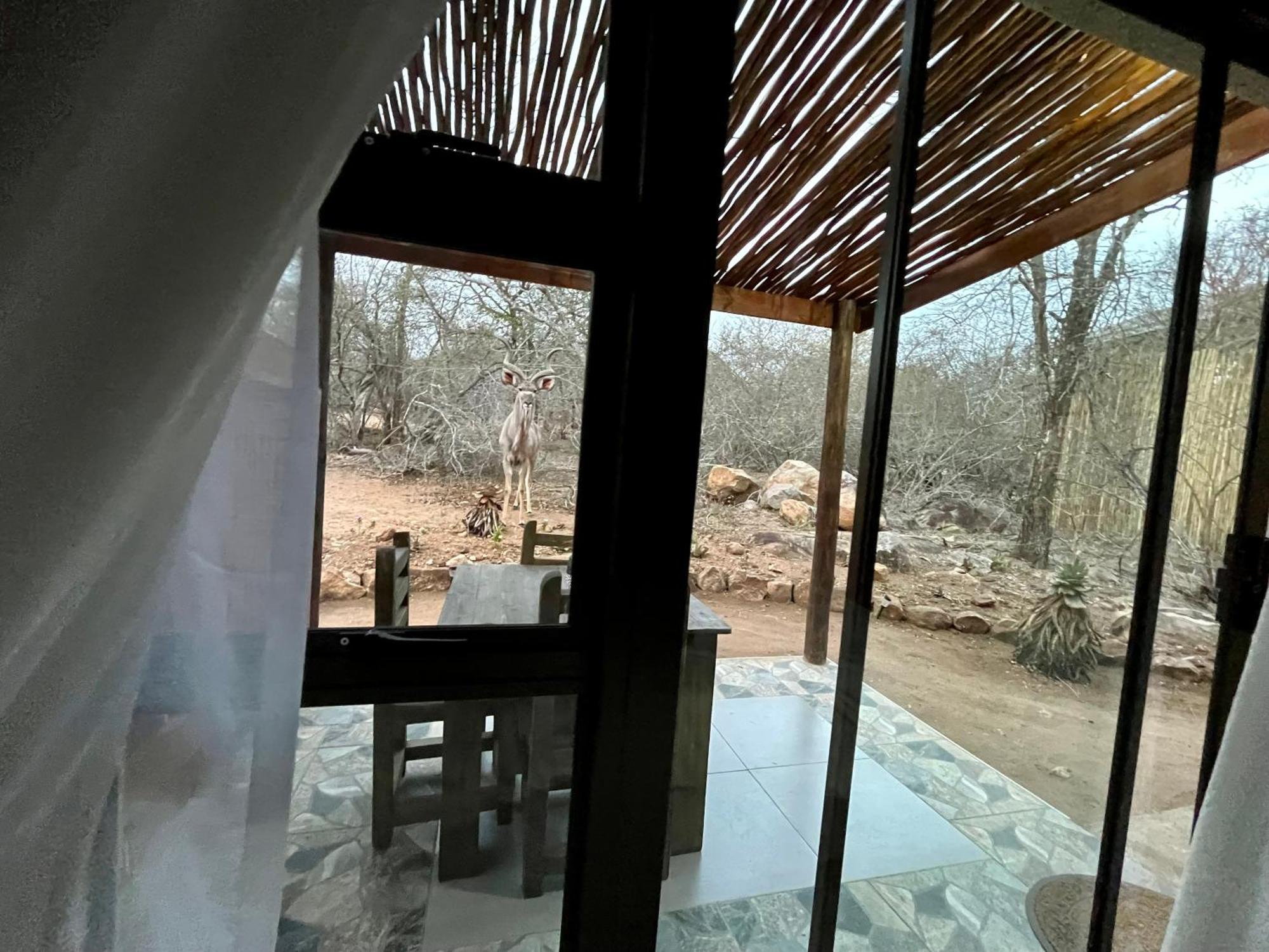 Kholiwe On Kruger Lodge & Safaris Марлот-Парк Экстерьер фото