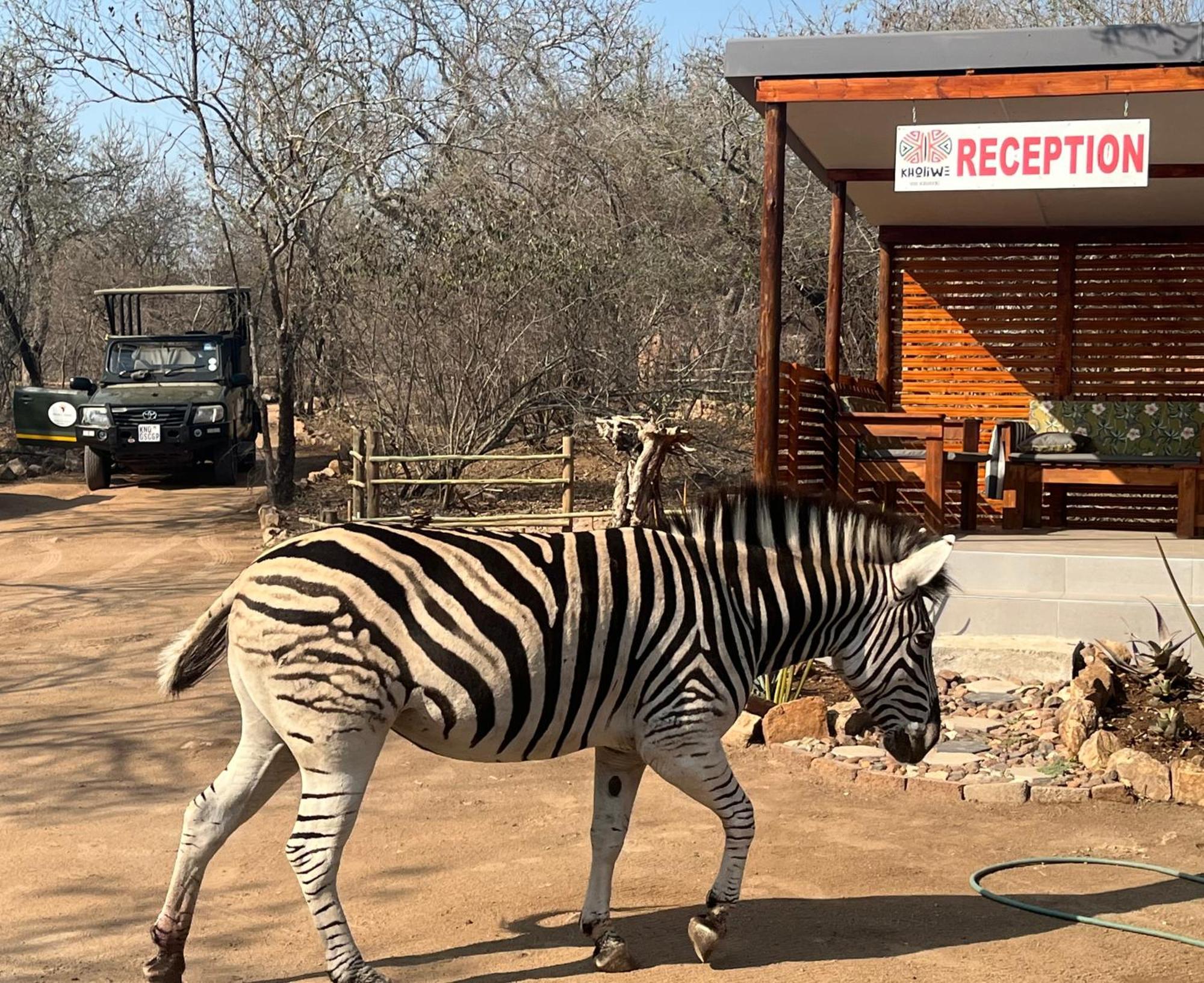 Kholiwe On Kruger Lodge & Safaris Марлот-Парк Экстерьер фото